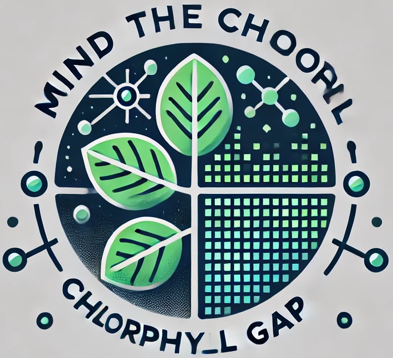Mind the CHL Gap - Home